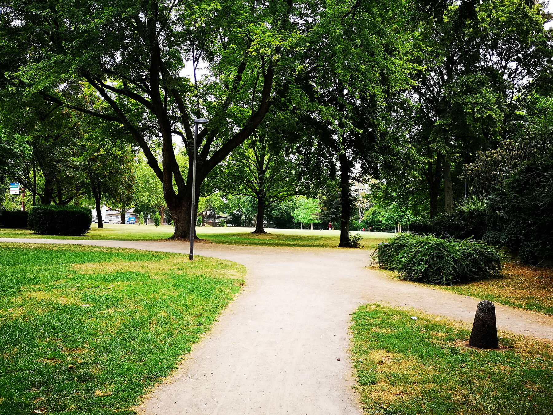 Webdesign Köln Kundenmeinungen